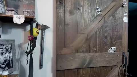 Darryl online show from February 12, 4:23 am