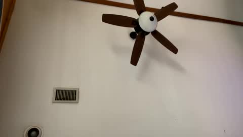 bigdikdaddy007 online show from February 11, 4:13 pm