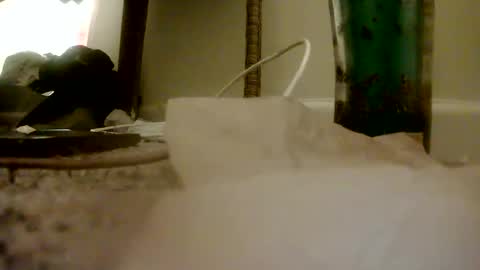 Peter Paul online show from November 16, 2:02 am