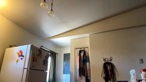 Daniel  Noelia online show from February 27, 7:04 pm