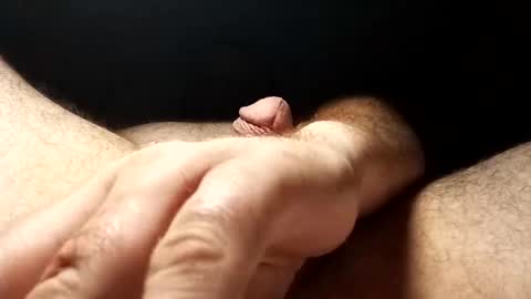 Evil cum launcher online show from November 6, 6:49 am