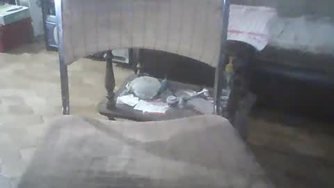 bigpenix online show from December 21, 3:25 am