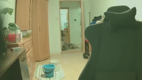 bigredkong7777 online show from September 9, 6:52 pm