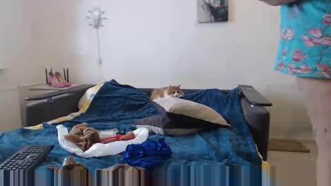 BigTwinsOmg online show from February 28, 10:19 am