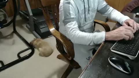 billy471 online show from January 23, 10:11 pm