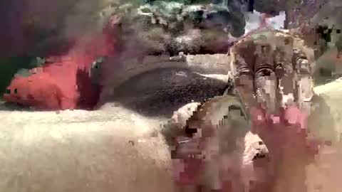 birdyboy795 online show from February 17, 1:59 am