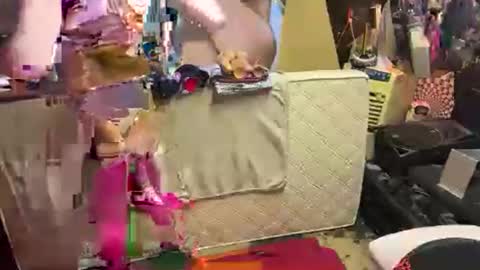 AnalLover online show from April 5, 9:17 am