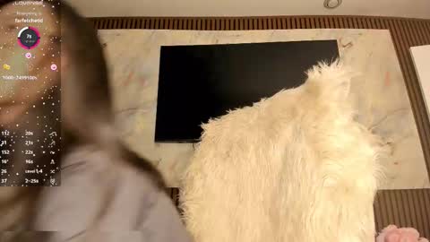 Karina online show from February 25, 2:59 am