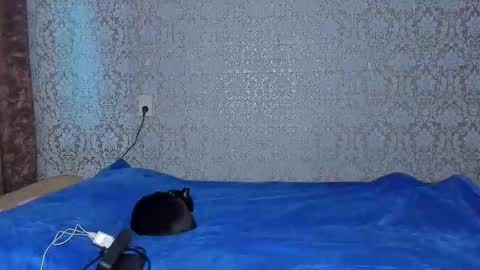 bloemetjes online show from October 7, 11:34 pm