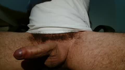 Blop online show from February 3, 7:46 am