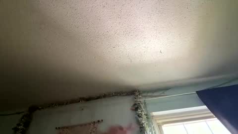 bluecollarpixel online show from April 21, 8:27 pm