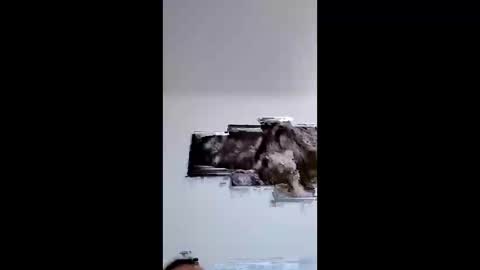 bobby160968 online show from February 17, 7:02 pm