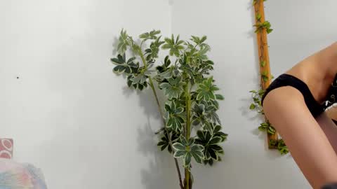   online show from December 17, 12:17 am