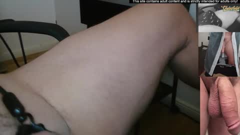 Bonobooy online show from November 14, 1:24 pm