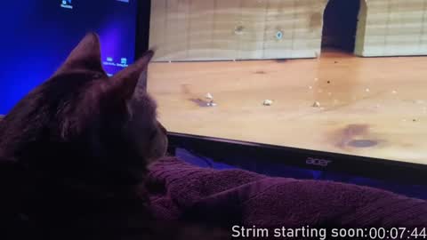 Booker Baxton online show from February 13, 4:00 am