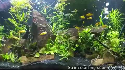 Booker Baxton online show from January 14, 4:09 am