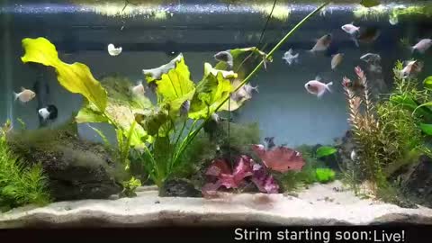 Booker Baxton online show from September 25, 3:13 am