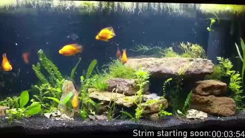 Booker Baxton online show from September 30, 3:06 am