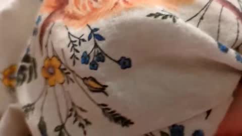 Snapshot of borderslad1101 chatting on October 27, 8:09 pm Borderslad1101 online show from October 27, 8:09 pm