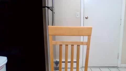 The Italian Boss  online show from February 6, 11:31 am