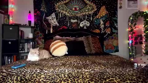 Snapshot of boysdroollx chatting on December 28, 3:26 am Puddin online show from December 28, 3:26 am