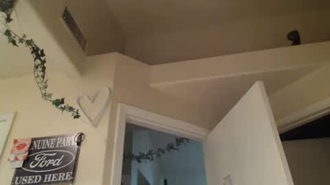 i am a naughty jedi knight online show from March 7, 6:35 am