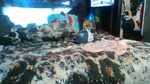 breezworld online show from November 19, 5:01 pm