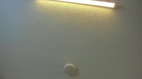 Brittany  online show from February 8, 8:45 pm