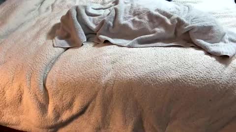 brownbootie1 online show from February 17, 8:41 pm