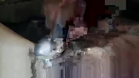 browndickchris online show from March 22, 1:31 am