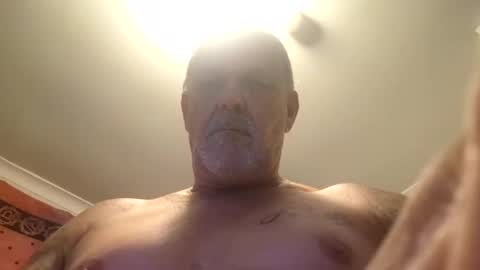 brumby94561 online show from February 13, 1:15 pm