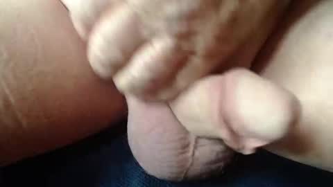 budddgardener online show from April 20, 2:42 pm