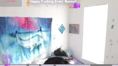 Tokki  bunny  online show from December 6, 7:06 pm