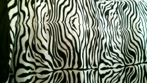 bustinfree online show from October 7, 4:36 pm