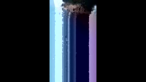 bydsknox online show from March 4, 2:08 am