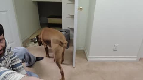 c2cmee online show from December 26, 9:55 am