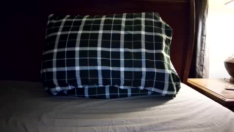 calgary12345 online show from October 6, 6:53 am