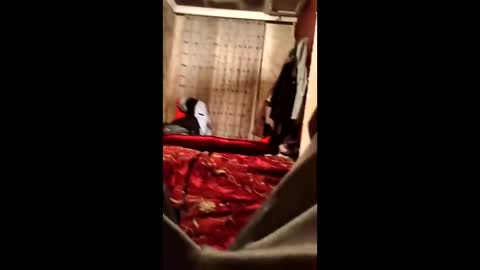 Raphael online show from January 11, 5:52 pm