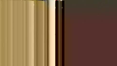 MxrtxnSxl online show from December 9, 2:06 pm