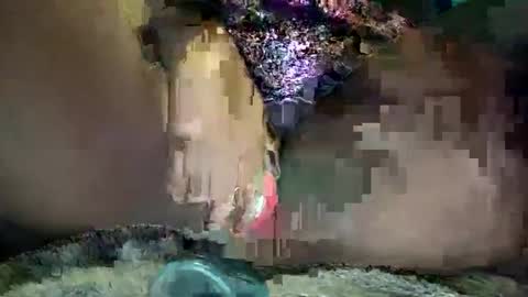 calypsorabbit360 online show from April 21, 11:17 am