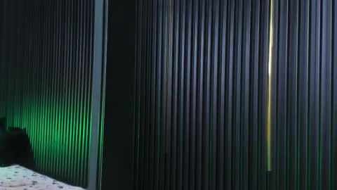 CAMERON online show from February 21, 9:02 am