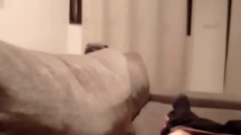 Snapshot of carlitito1 chatting on October 30, 5:35 pm carlitito1 online show from October 30, 5:35 pm