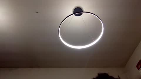 Snapshot of carlos037tm chatting on February 8, 9:04 pm Carlos online show from February 8, 9:04 pm