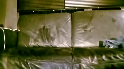 carlosbrabant online show from March 1, 11:09 pm