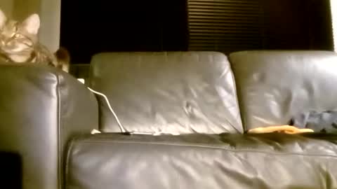 carlosbrabant online show from October 13, 5:48 pm