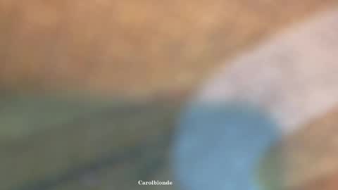 Char online show from April 20, 12:24 am