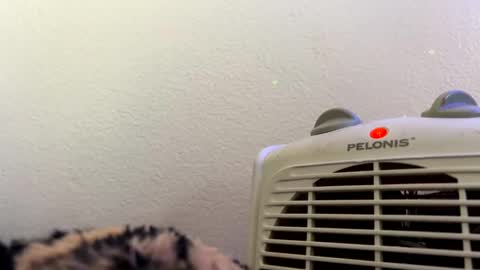 casidy1 online show from February 28, 7:14 pm