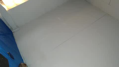 Snapshot of cassandra_delighty chatting on February 23, 8:39 am cassie online show from February 23, 8:39 am