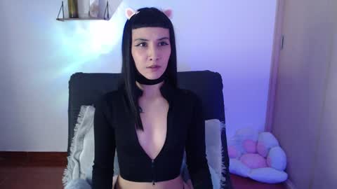 cat online show from January 22, 2:15 am