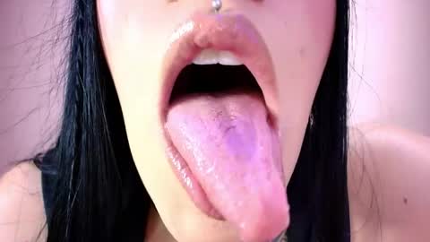 Cattleya online show from April 17, 4:04 am